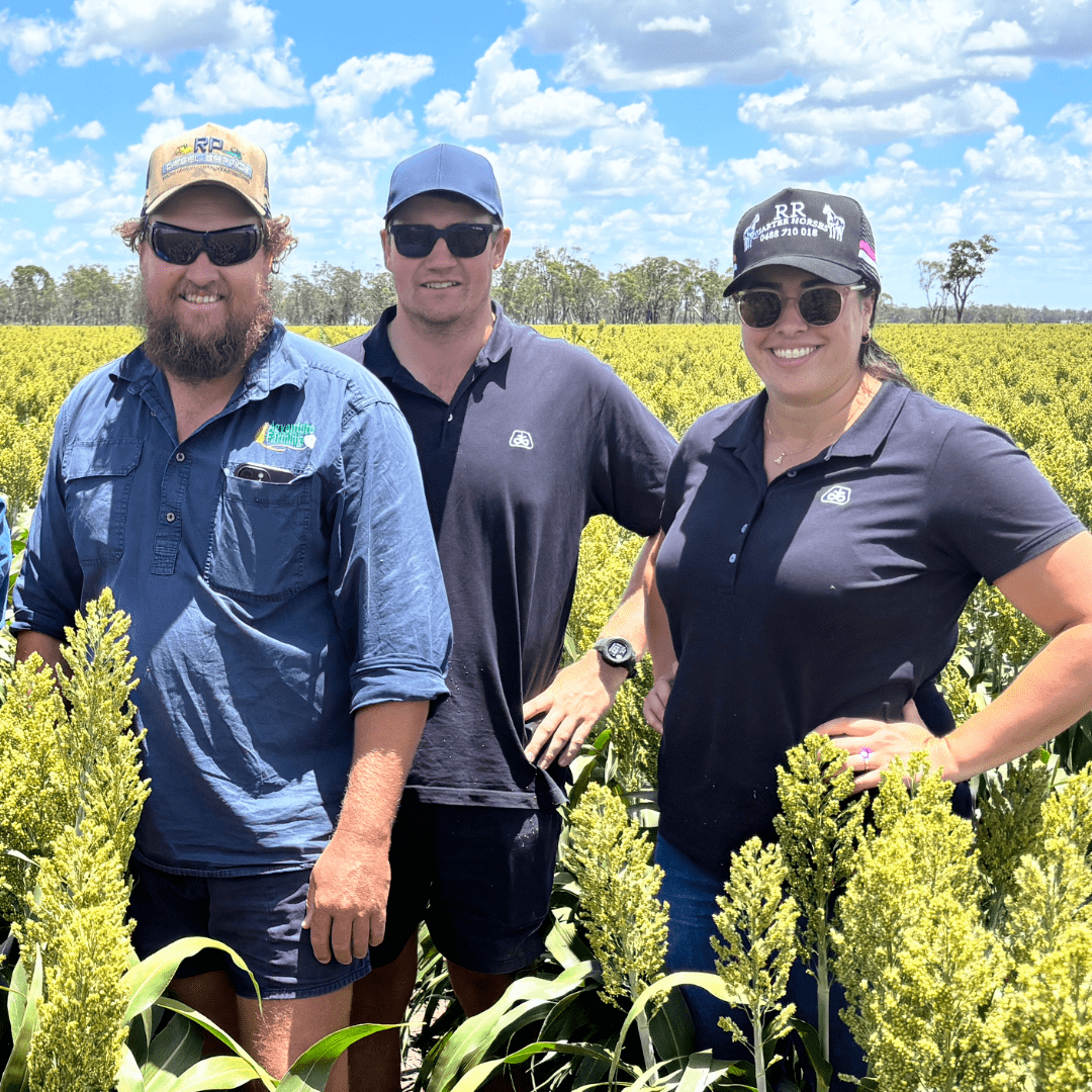 TSM Anncouncement.png