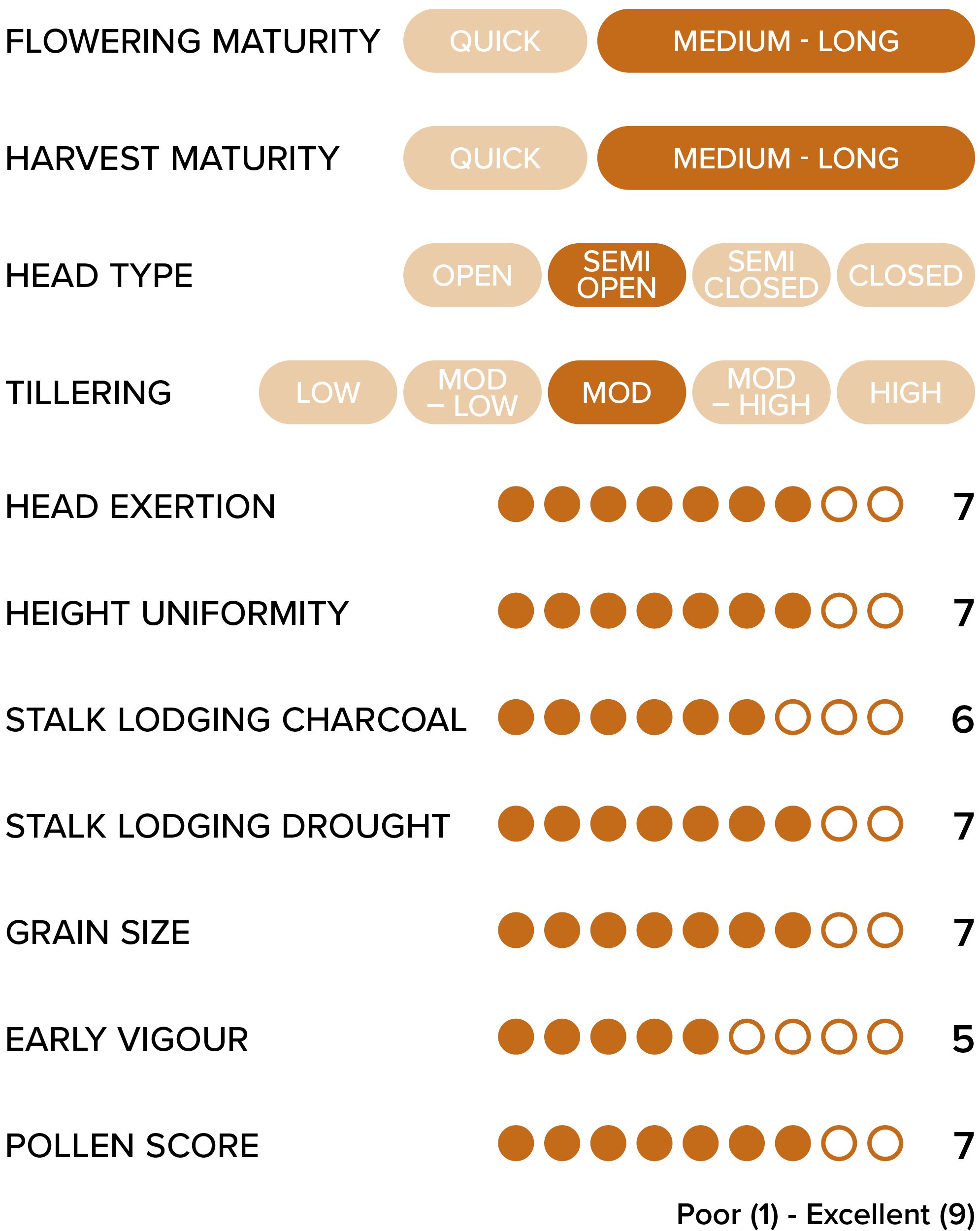 Soghum Table 1370x1320 v1_A14.jpg