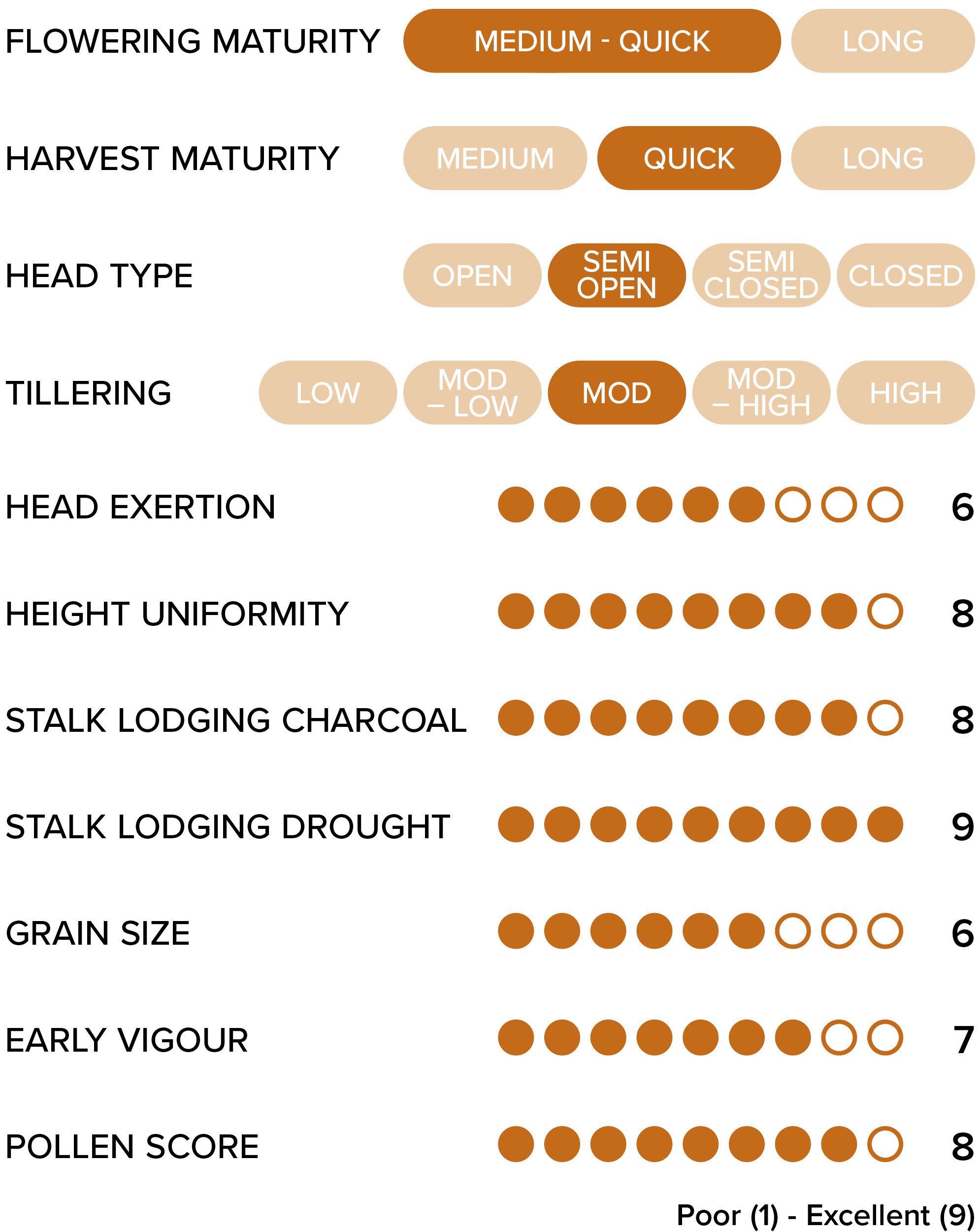 Soghum Table 1370x1320 v1_G33.jpg