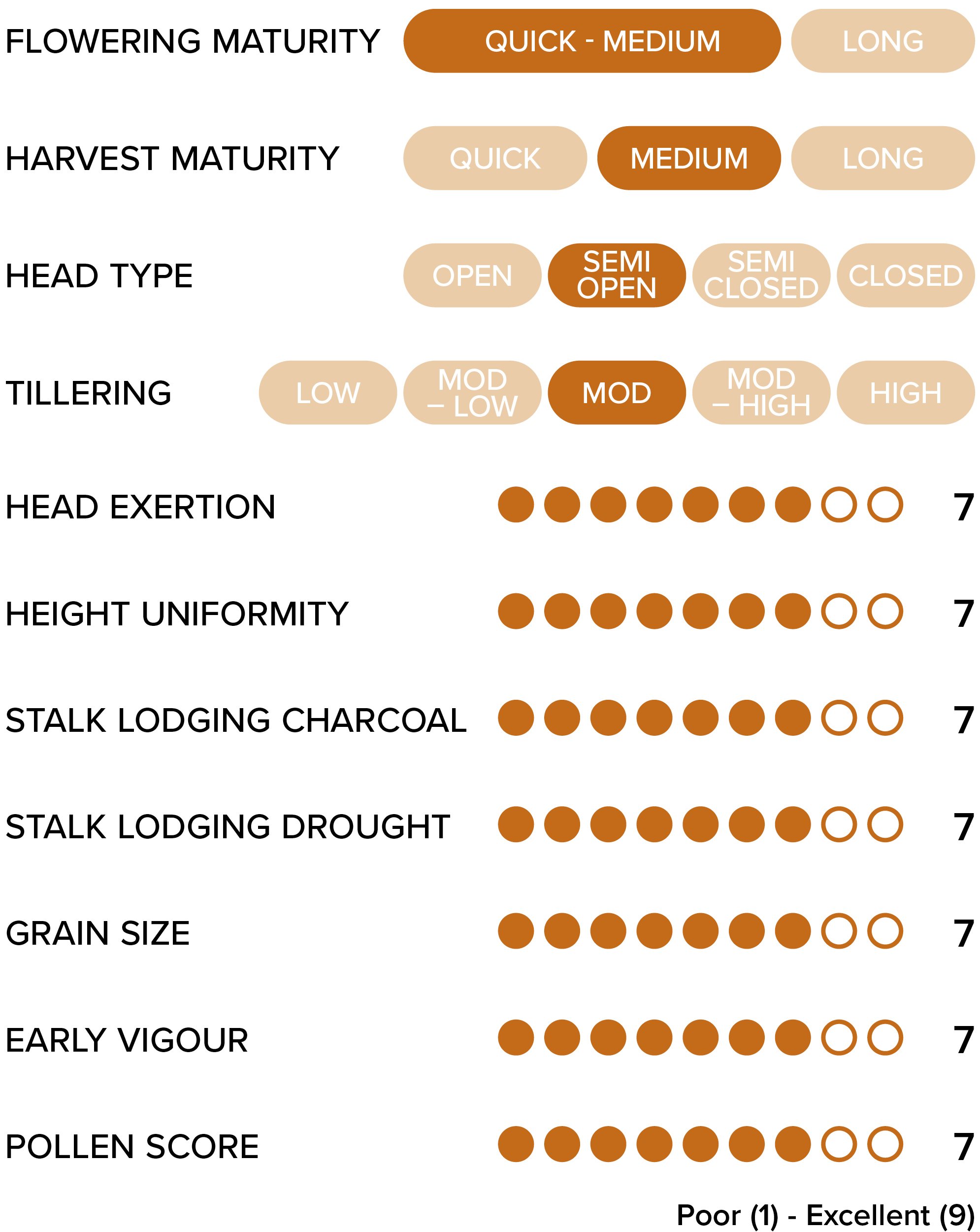 Soghum Table 1370x1320 v1_A30.jpg