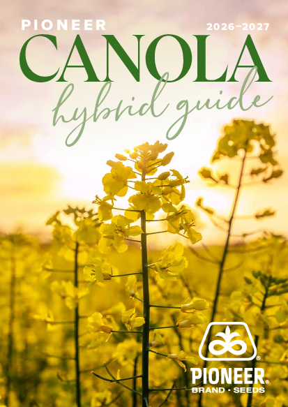Canola cover image
