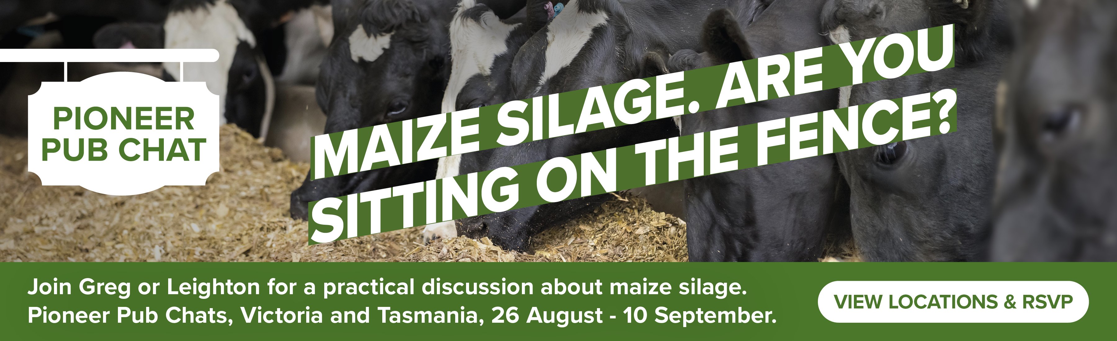 GS043 Maize silage pub chats - Mainpage 1800x550 v1b.jpg