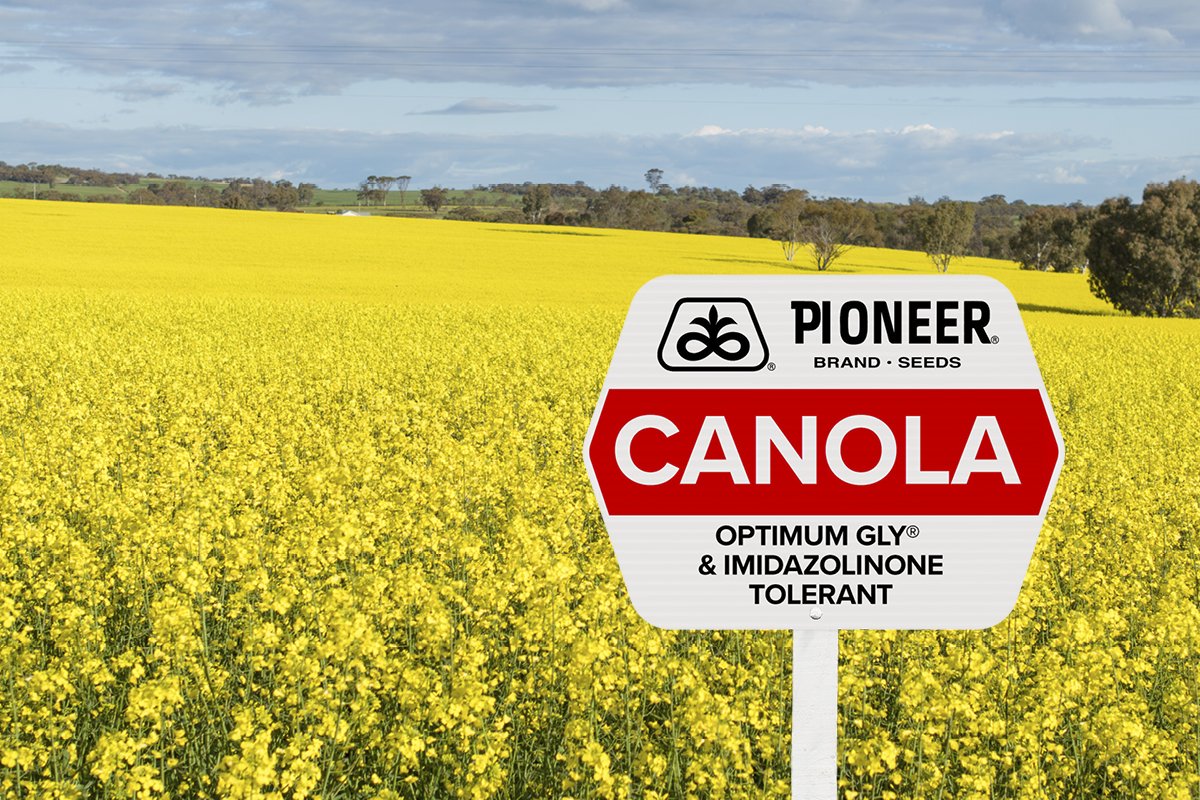 GS040 Q3 activities 2026 - Website canola page 600x400 v2_OPT GLY AND IMI TO.jpg