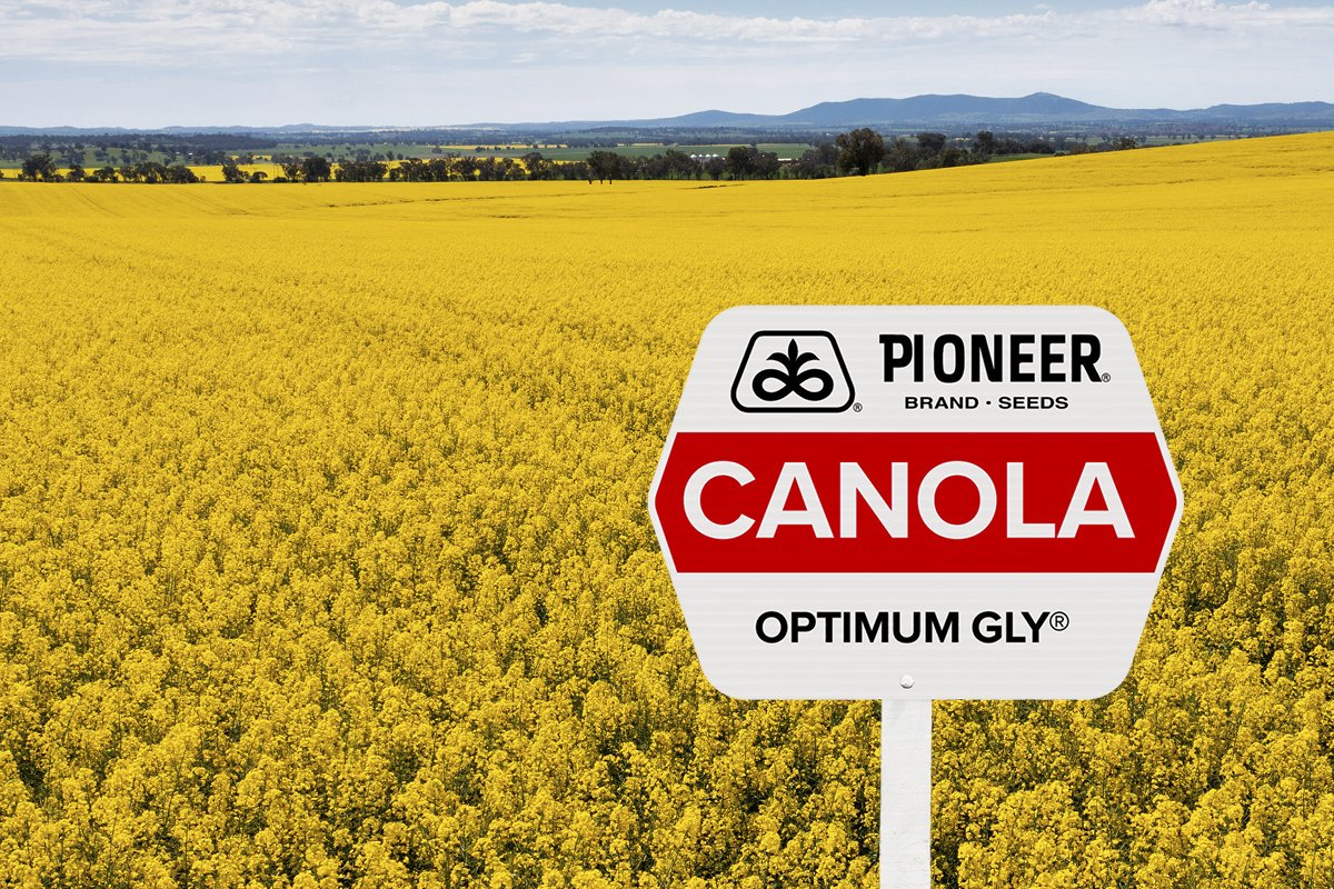GS040 Q3 activities 2026 - Website canola page 600x400 v2_OPT GLY.jpg