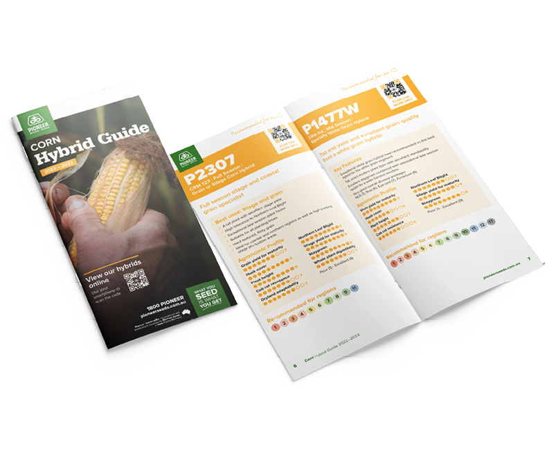 Corn Hybrids Pioneer Seeds