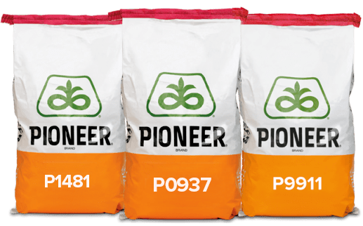 Pioneer Hi Bred