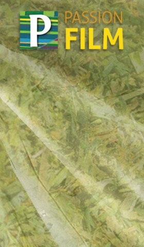 Passion Yellow silage protection
