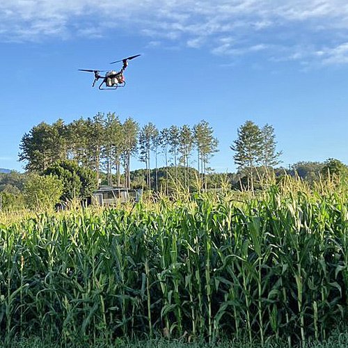 500px-clarence-ag-drones.jpg