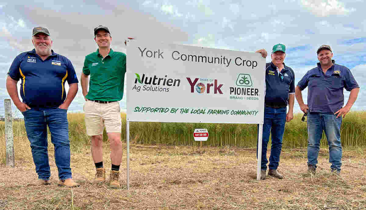 PHOTO: (L-R) Local Farm Manager KLK Farms Mal Cole , Branch Manager Nutrient (York)  Darren Chitty, Pioneer Farm Services Consultant Rob Bagley,  Local Farmer and Pioneer canola grower Adrian Emin.