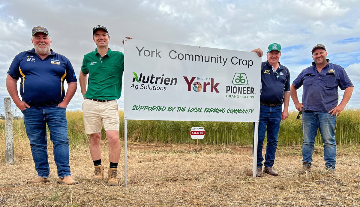 PHOTO: (L-R) Local Farm Manager KLK Farms Mal Cole , Branch Manager Nutrient (York)  Darren Chitty, Pioneer Farm Services Consultant Rob Bagley,  Local Farmer and Pioneer canola grower Adrian Emin.