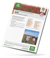 A14 note image cover